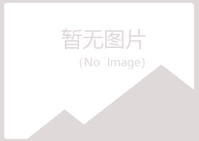 七台河字迹金属有限公司